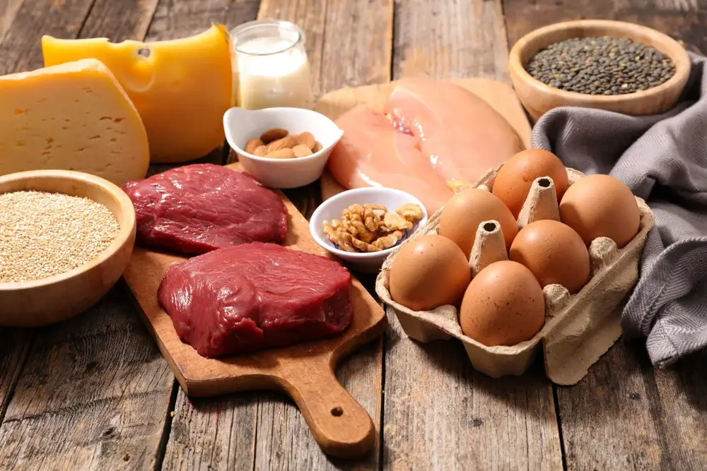 High protein food list