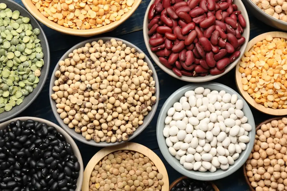 High fiber foods