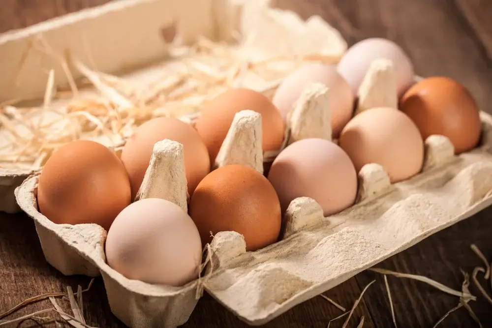 High protein breakfast foods