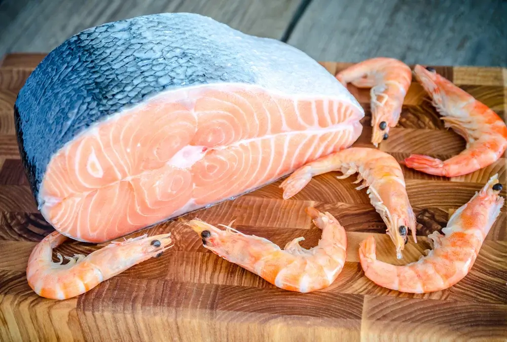 Animal-based protein sources