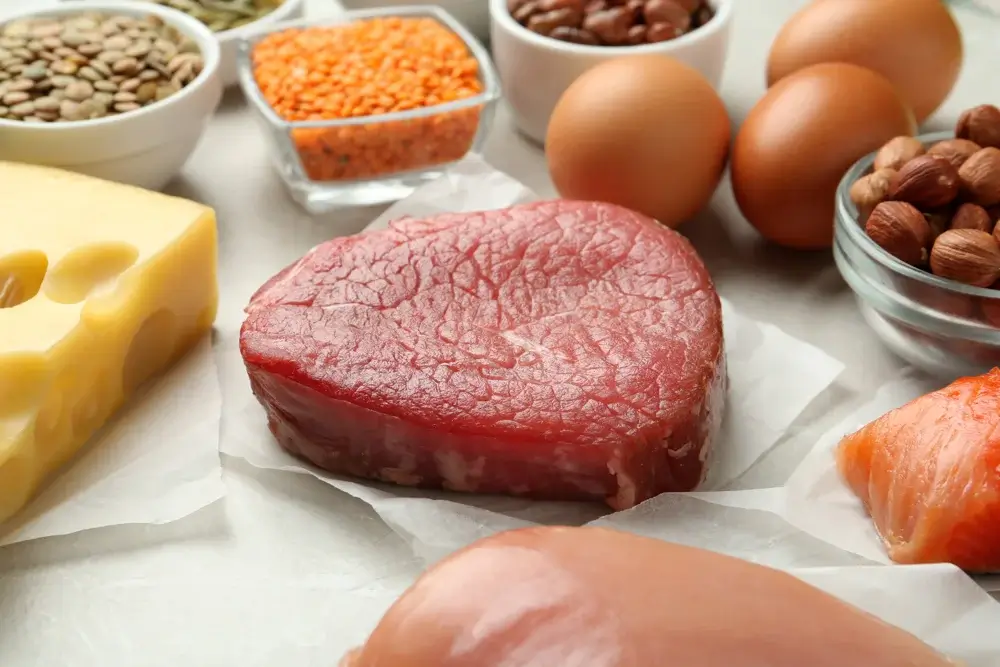 high protein foods