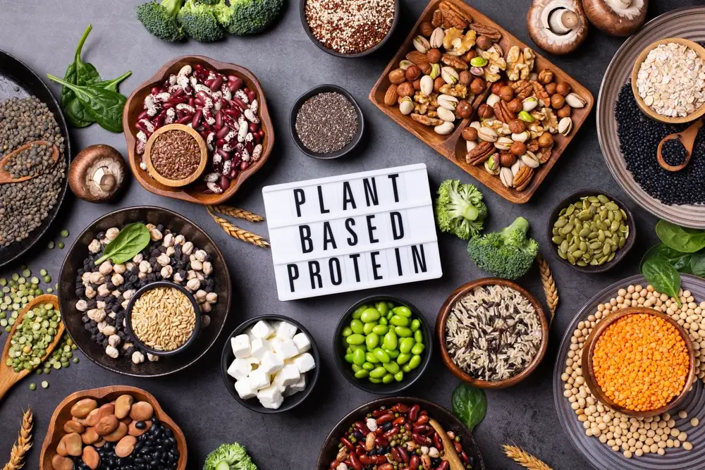 Plant-Based protein